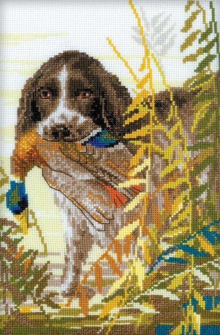 רקמה על בד גבינה - Hunting Spaniel