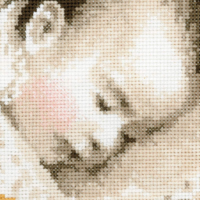 רקמה על בד גבינה - Sweet Dreams