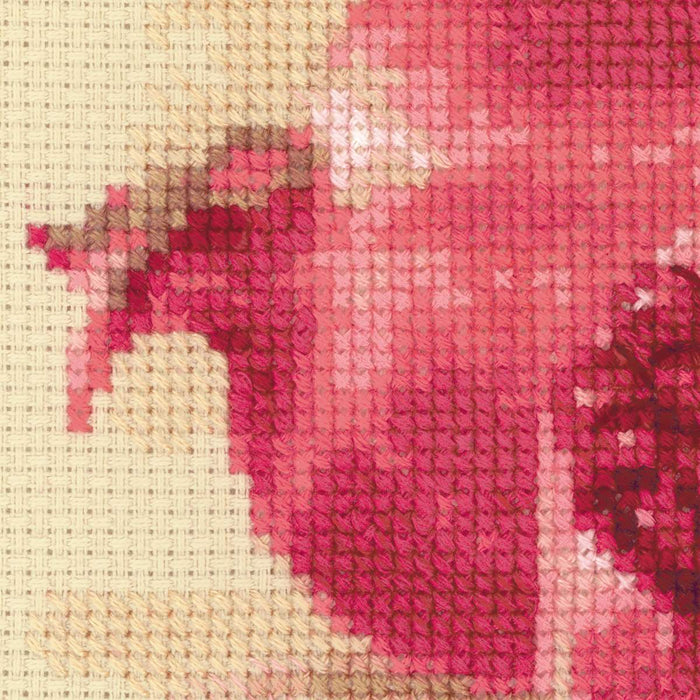 רקמה על בד גבינה - Pink Pomegranate