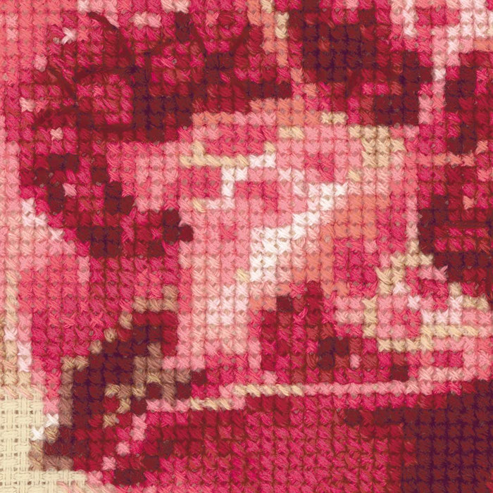 רקמה על בד גבינה - Pink Pomegranate
