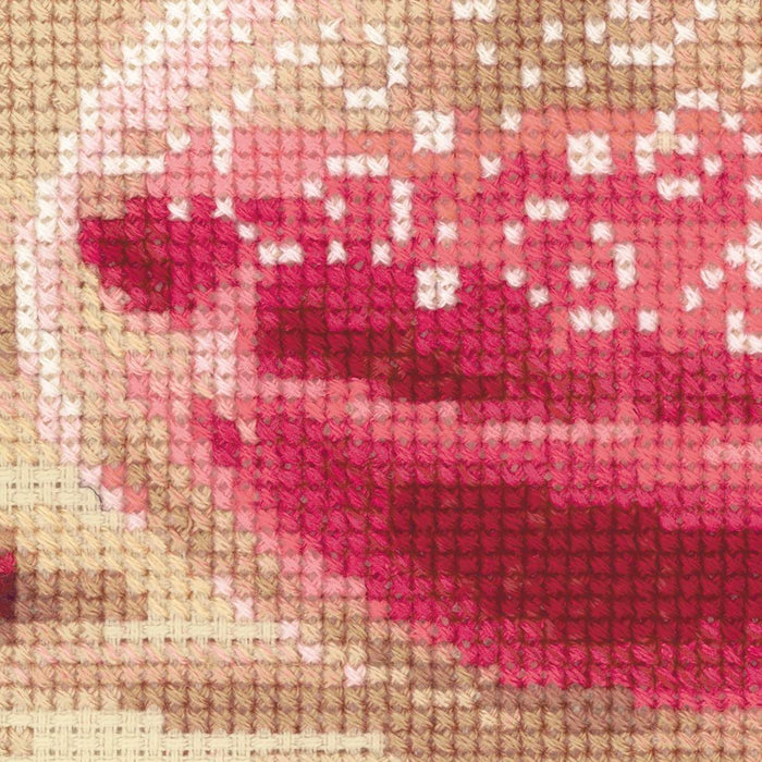 רקמה על בד גבינה - Pink Pomegranate