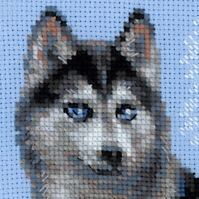 רקמה על בד גבינה - Husky