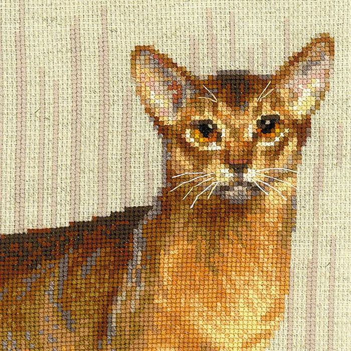 רקמה על בד גבינה - Abyssinian Cats