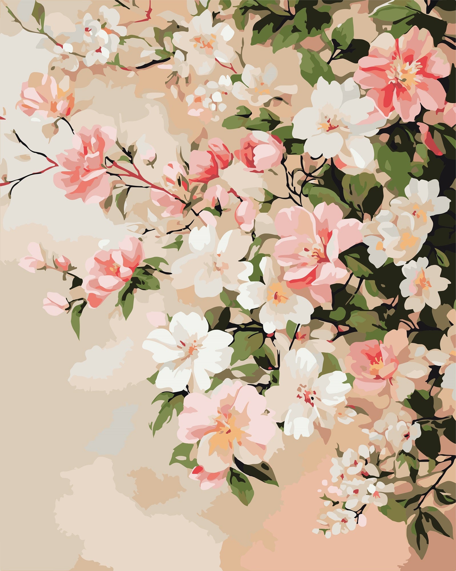 צביעה לפי מספרים - PBN1051