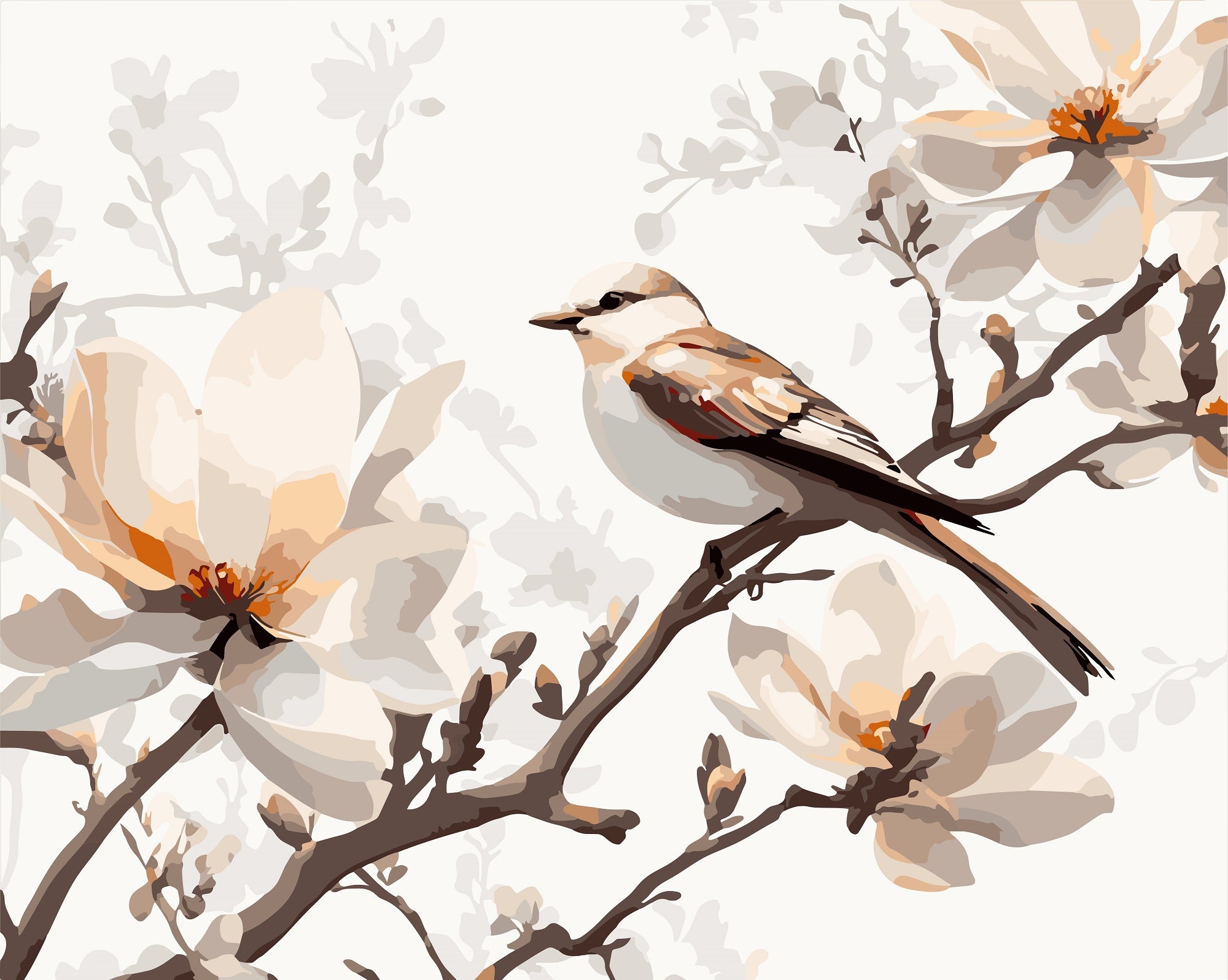 צביעה לפי מספרים - PBN1113