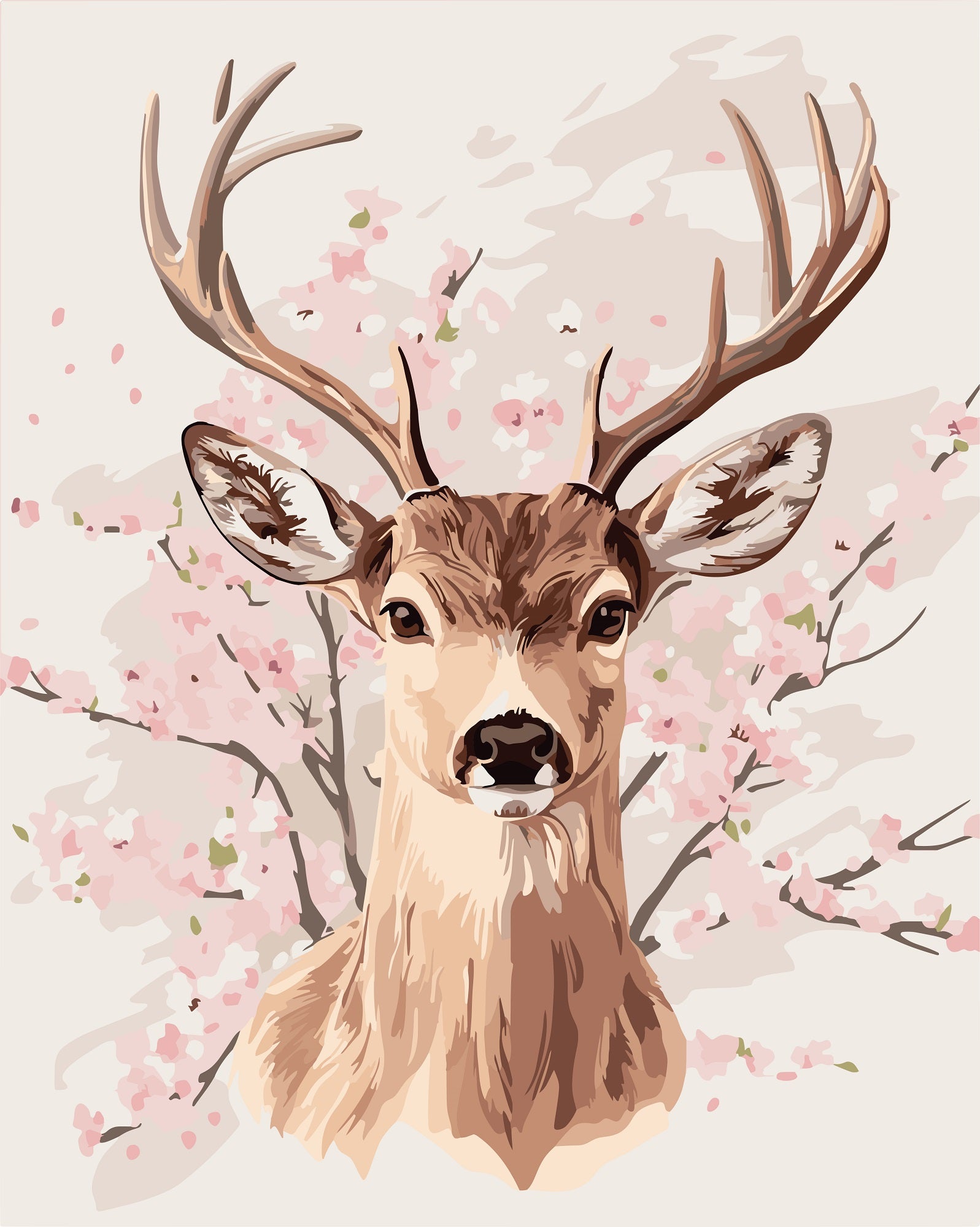 צביעה לפי מספרים - PBN1141