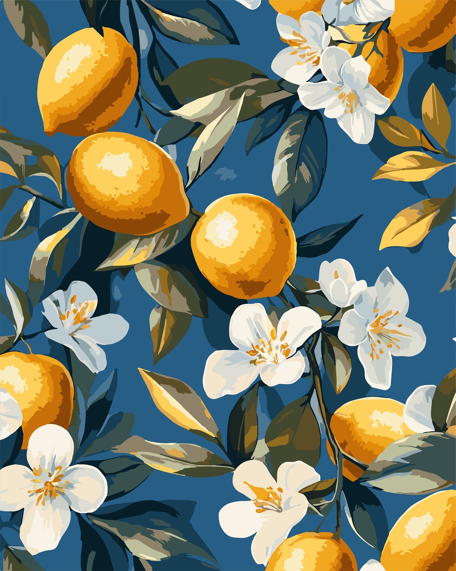 צביעה לפי מספרים - PBN0969