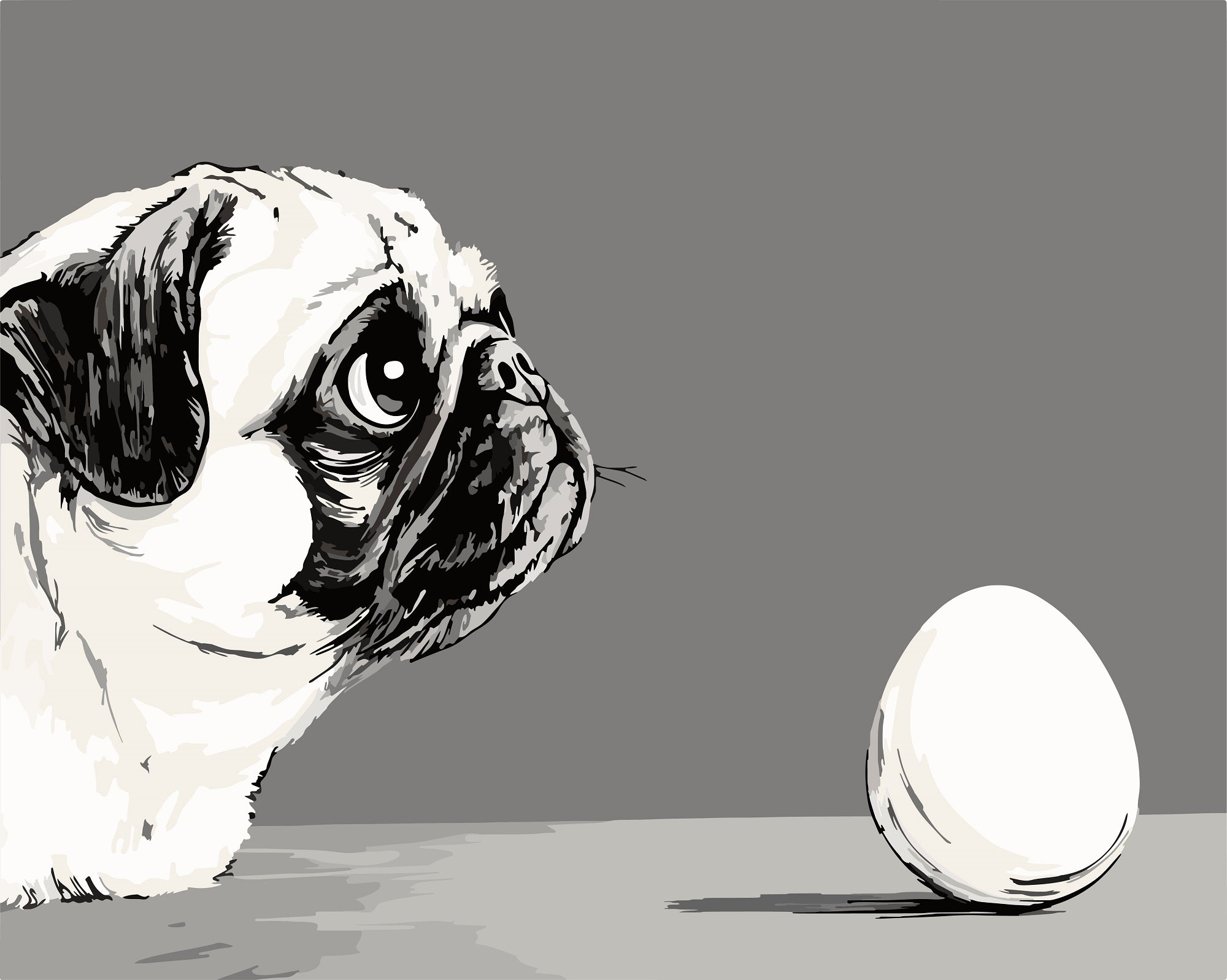 צביעה לפי מספרים - PBN1204