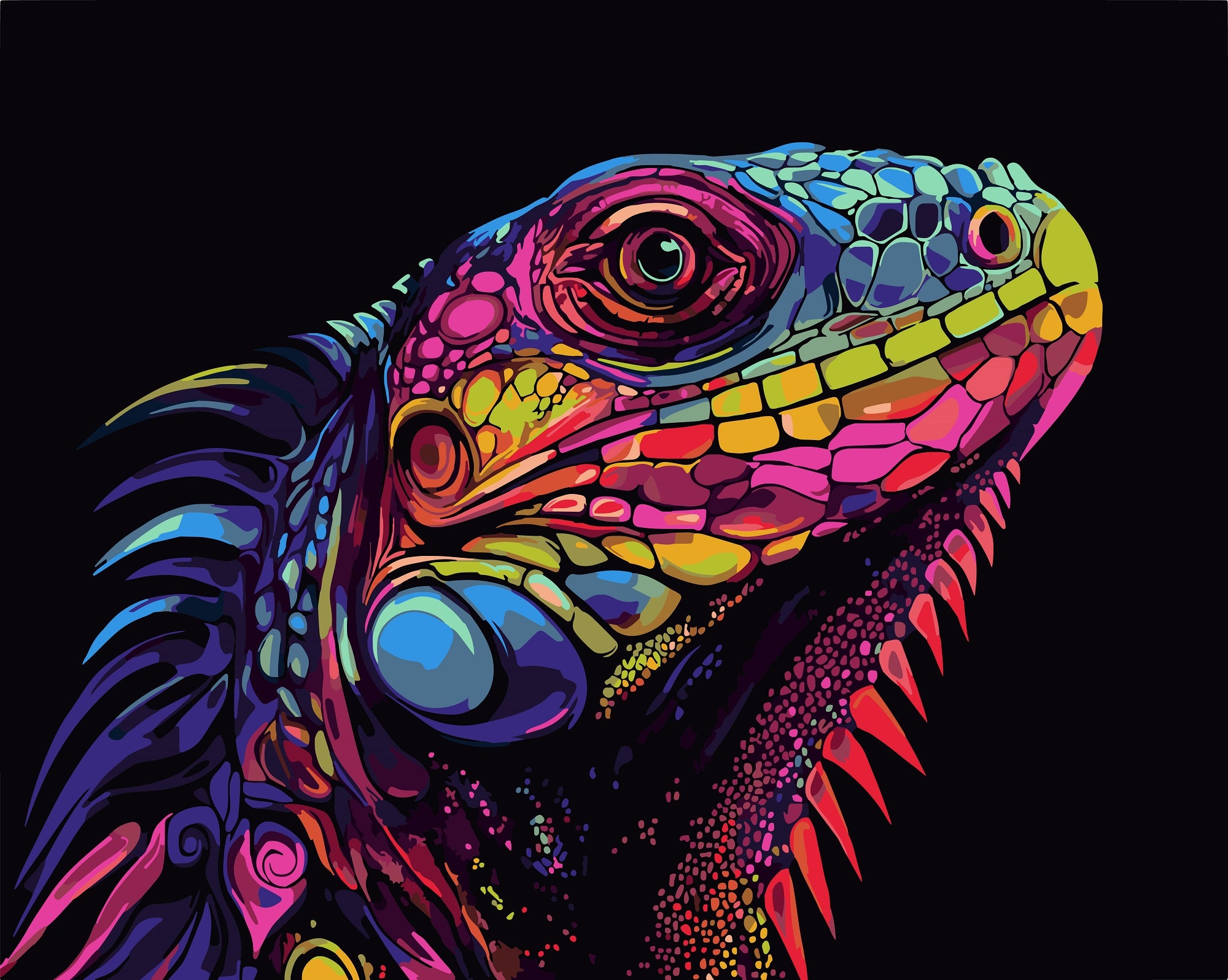 צביעה לפי מספרים - PBN1246