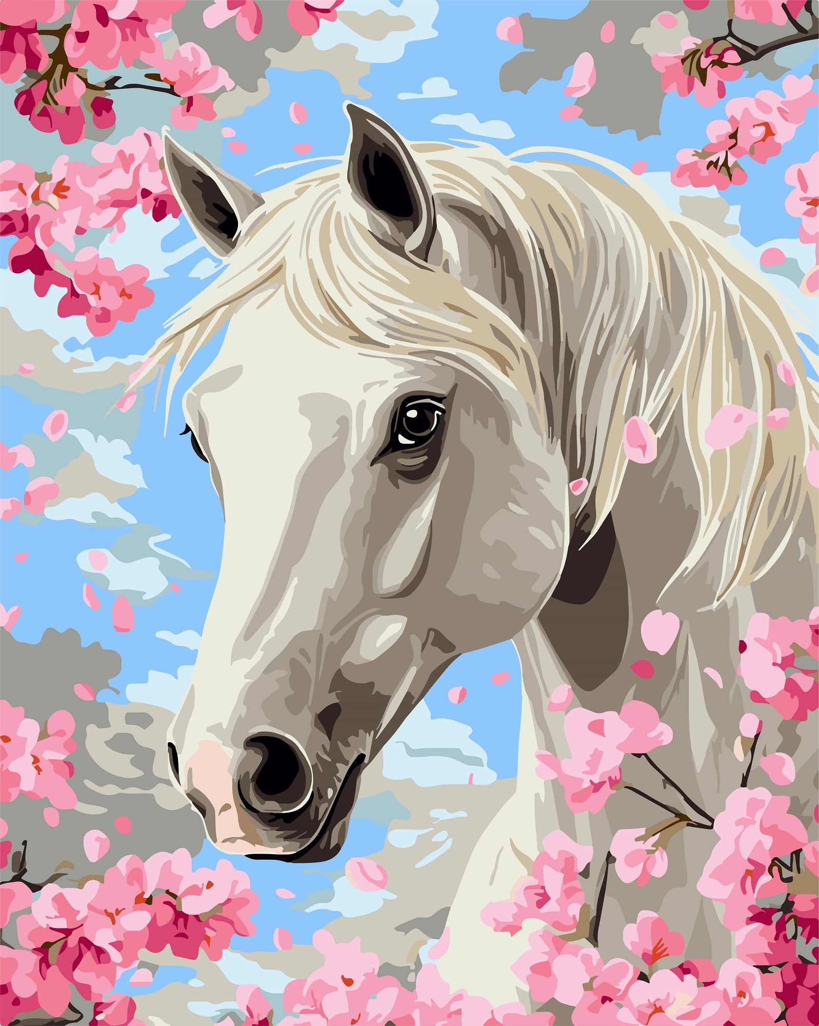 צביעה לפי מספרים - PBN0978