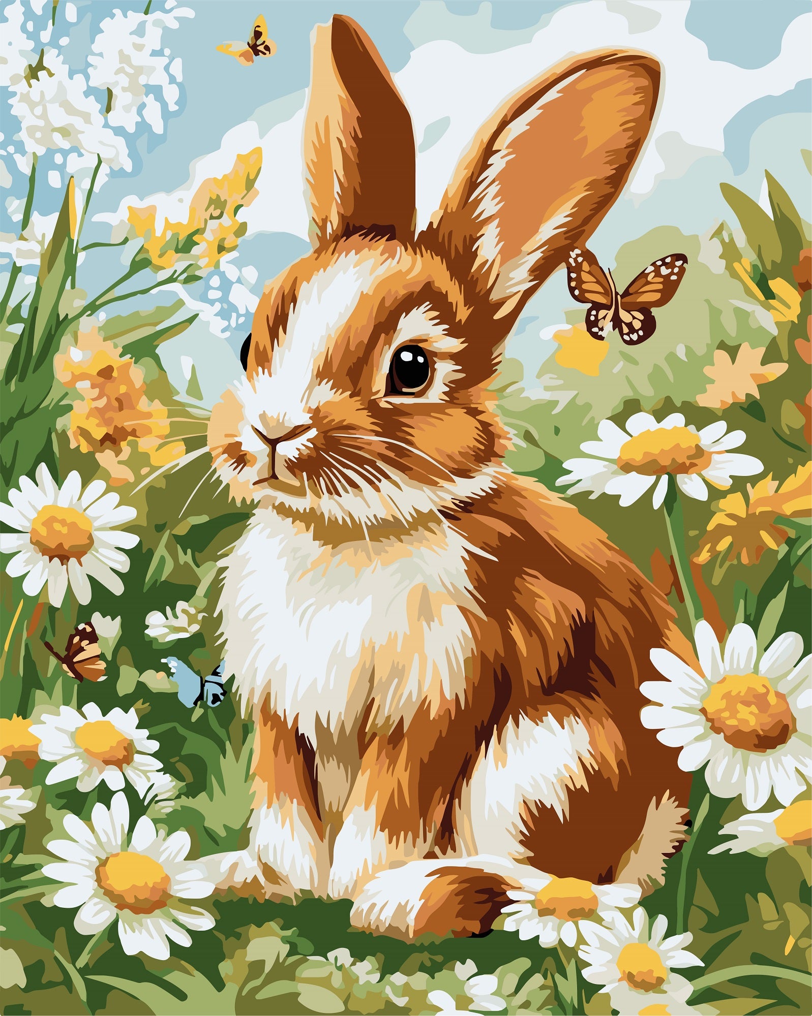 צביעה לפי מספרים - PBN1313