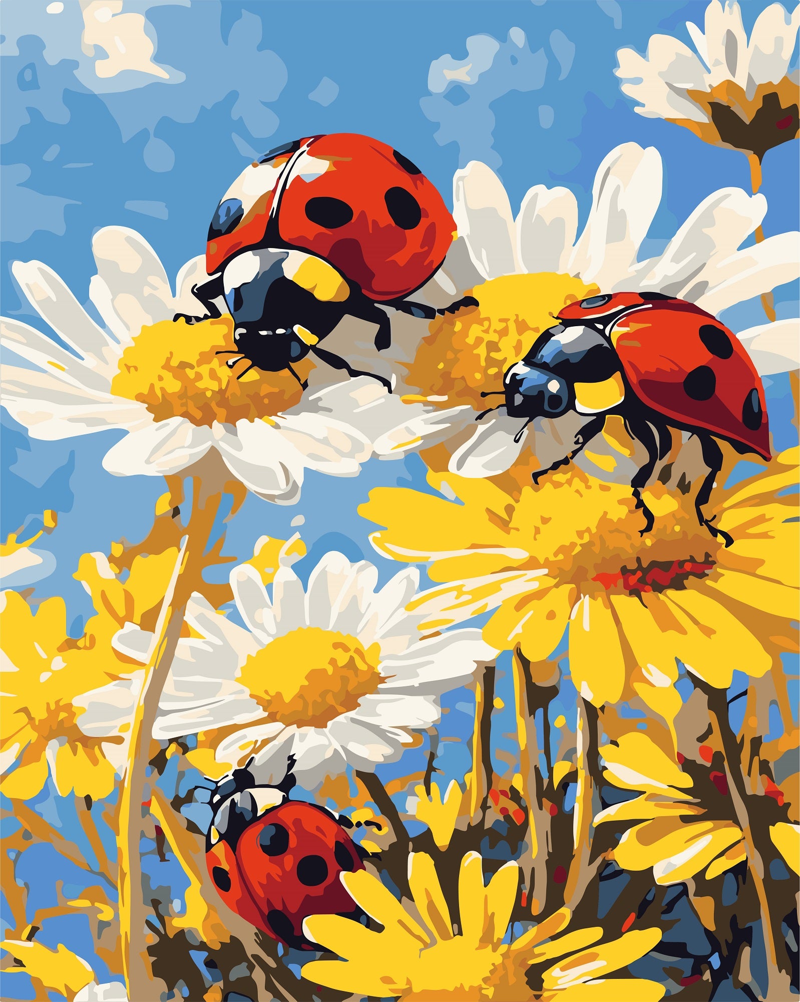 צביעה לפי מספרים - PBN1035