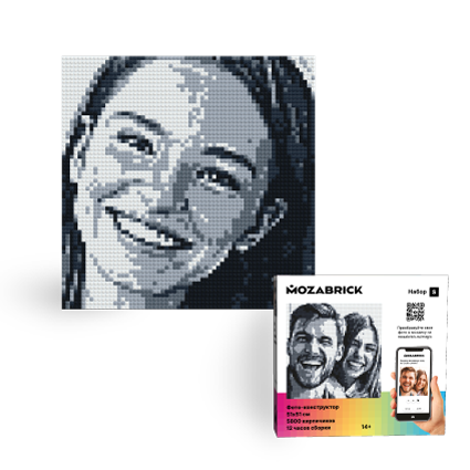 ערכת בניית תמונה Mozabrick