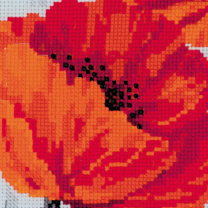 רקמה על בד גבינה - Scarlet Poppies (ערכת פרימיום)