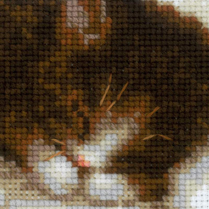 רקמה על בד גבינה - Kitten on the Book