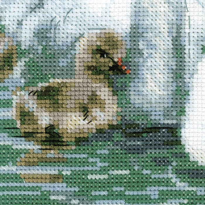 רקמה על בד גבינה - White Swans