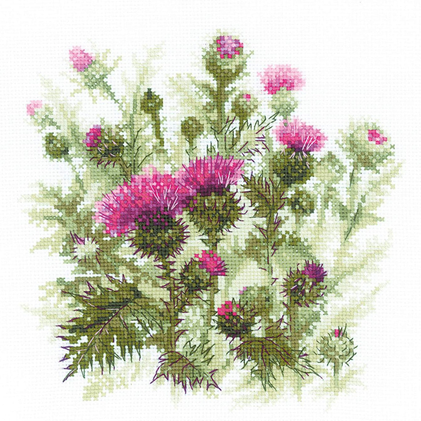 רקמה על בד גבינה - Thistle