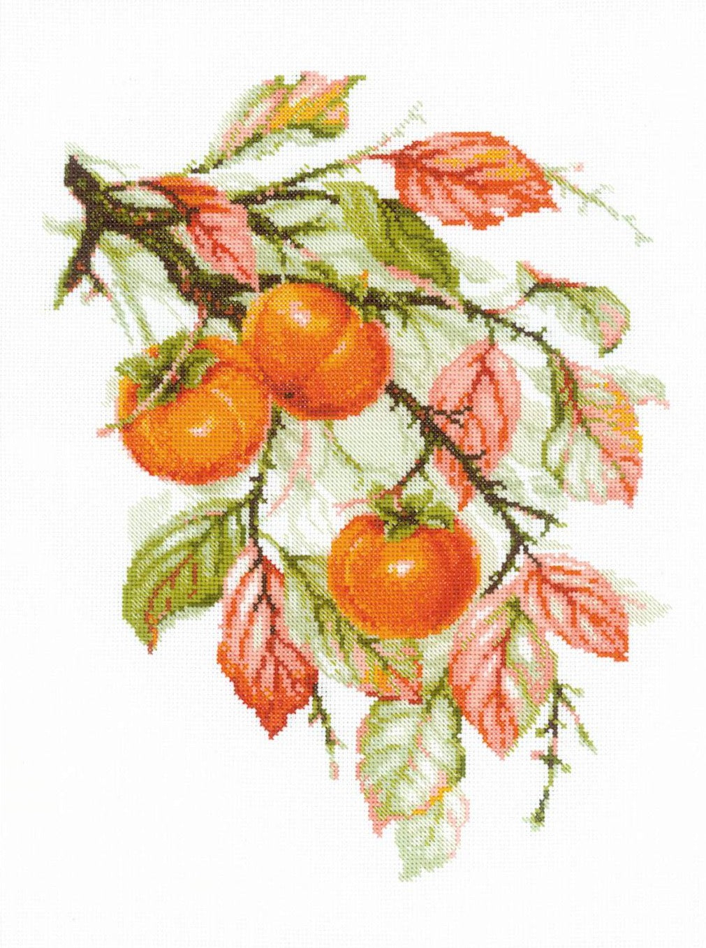רקמה על בד גבינה - Sunny Persimmon