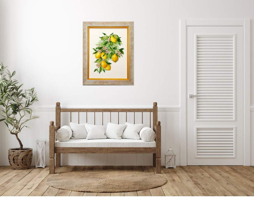 רקמה על בד גבינה - Bright Lemons