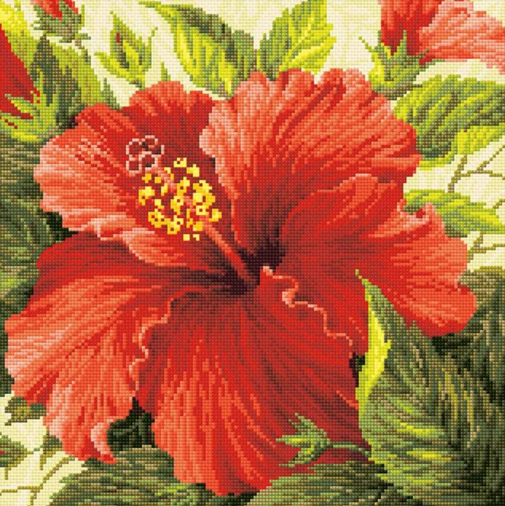 ציור יהלומים - Hibiscus