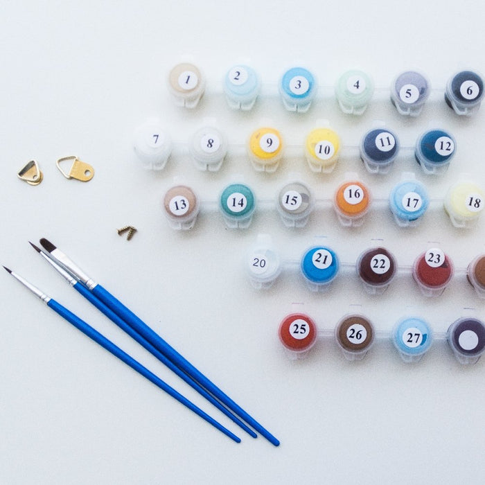 צביעה לפי מספרים - אייל ססגוני, ואיו רומדוני (ערכת פרימיום)