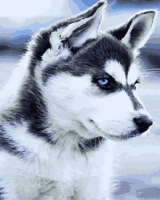 צביעה לפי מספרים - GX21714