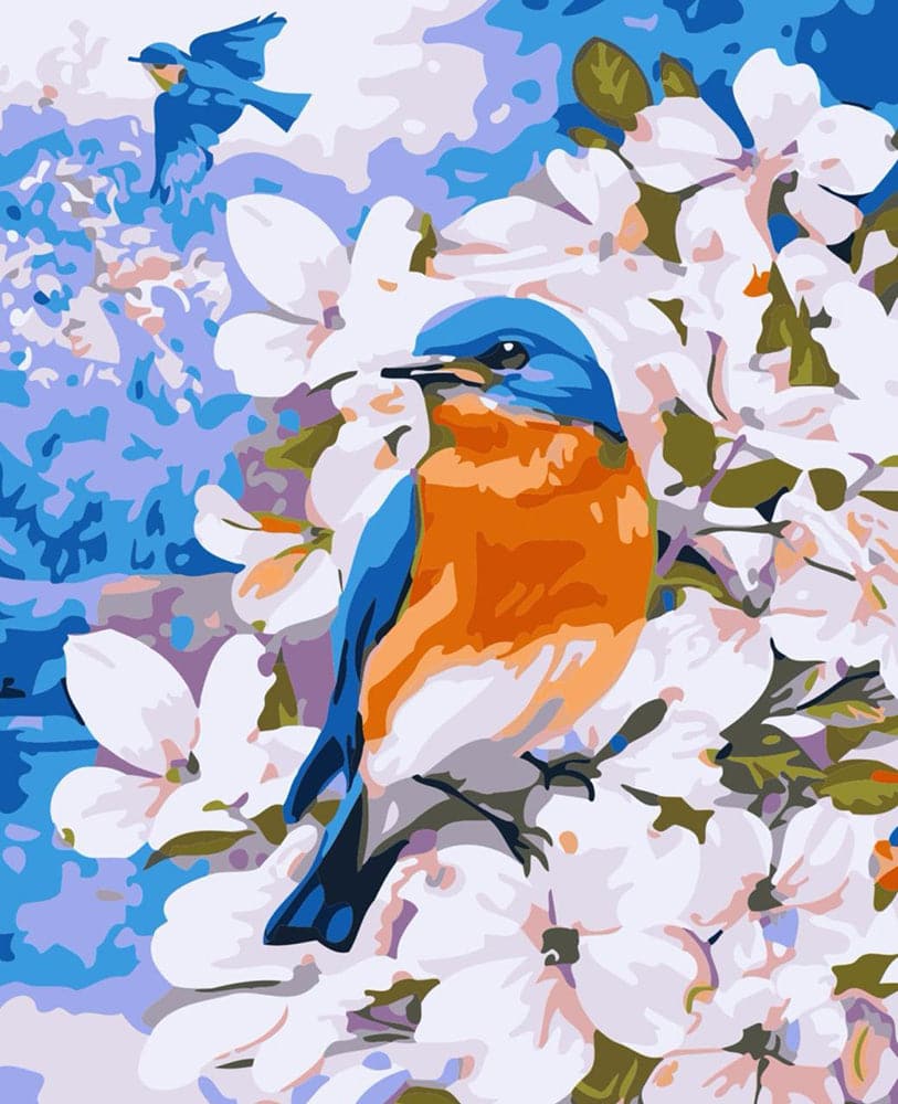 צביעה לפי מספרים - ציפורי אביב, גרג ג'ורדנו