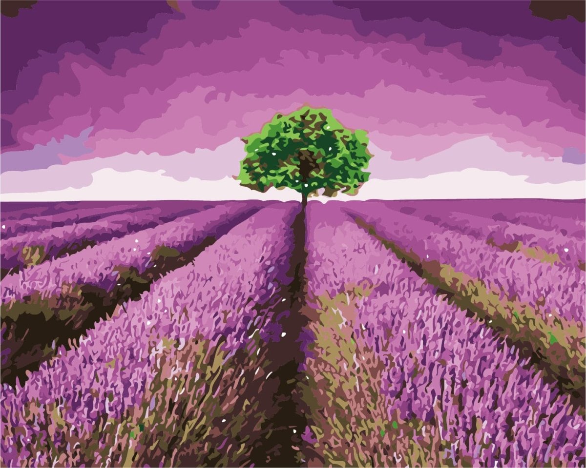 צביעה לפי מספרים - w1284 (ערכת פרימיום)