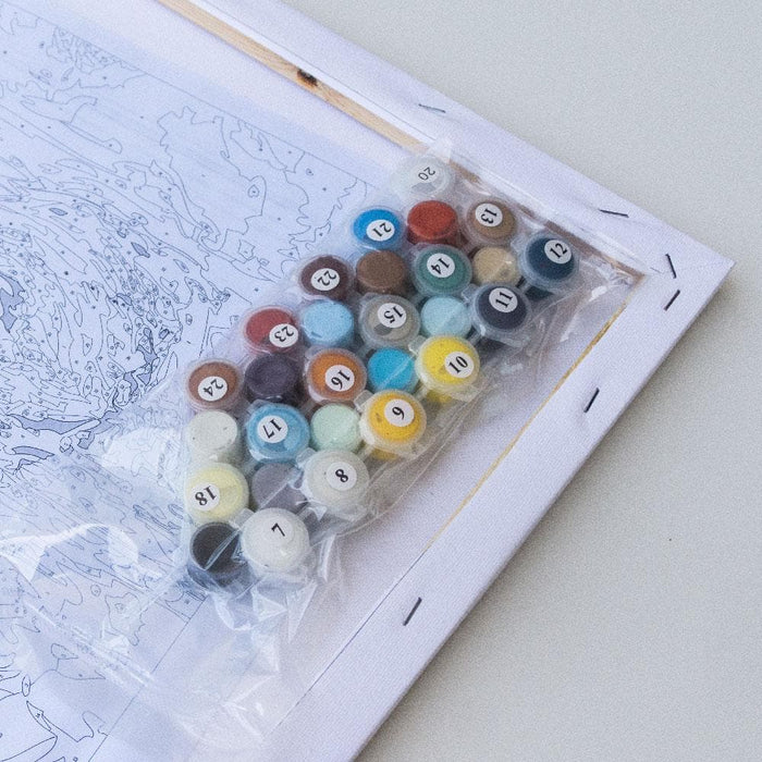 צביעה לפי מספרים - w3797 (ערכת פרימיום)