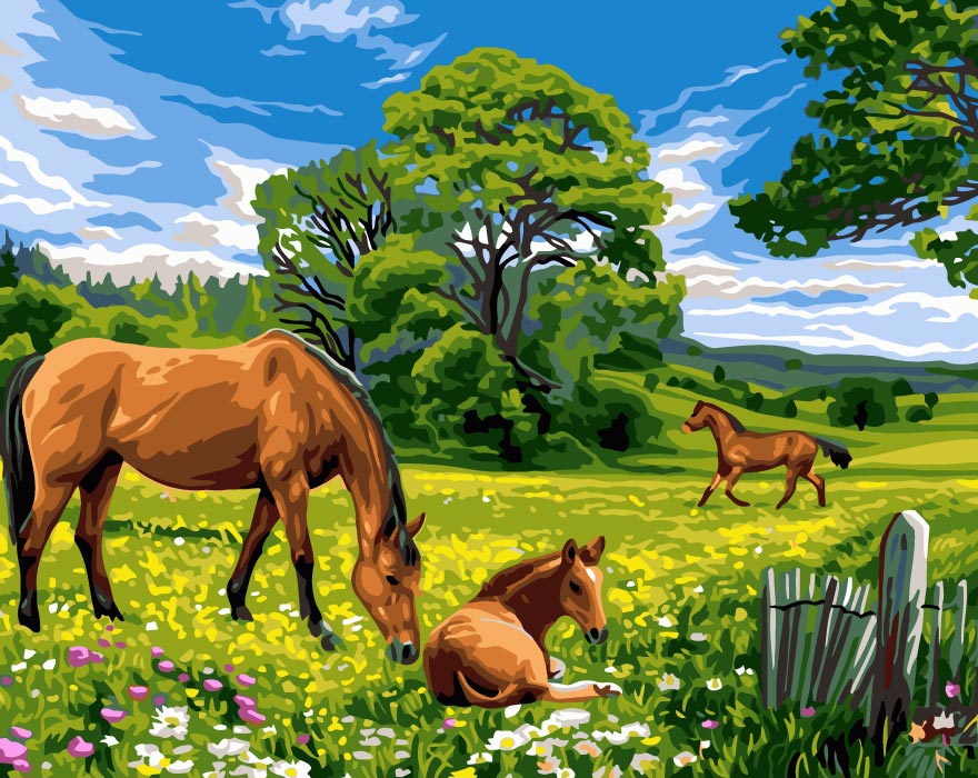 צביעה לפי מספרים - w5052 (ערכת פרימיום)