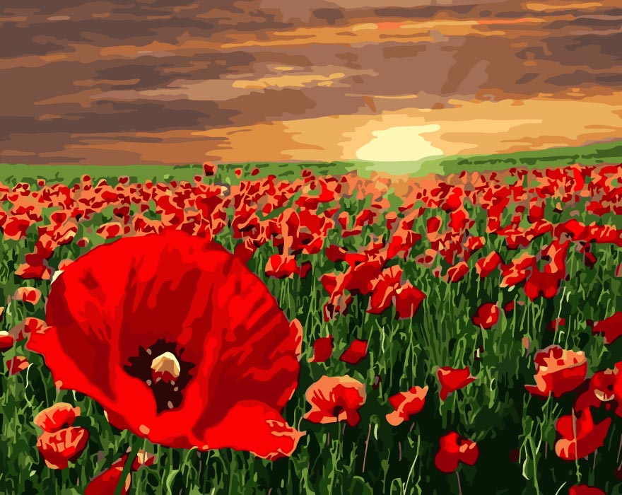 צביעה לפי מספרים - W5078 (ערכת פרימיום)