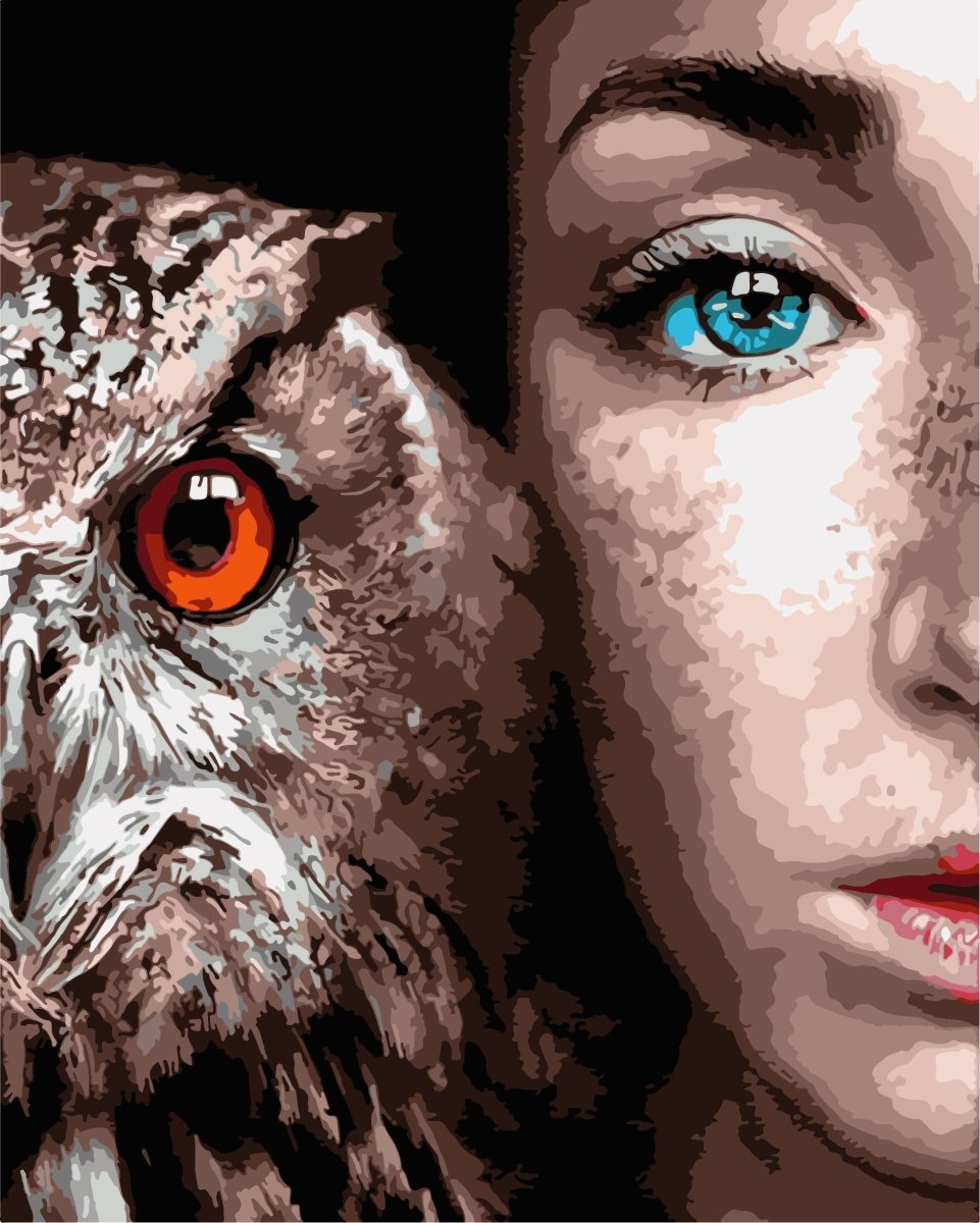 צביעה לפי מספרים - w6500 (ערכת פרימיום)