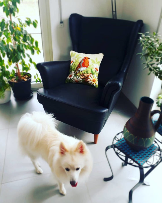 הכנת תמונת צמר או כרית - אדום חזה