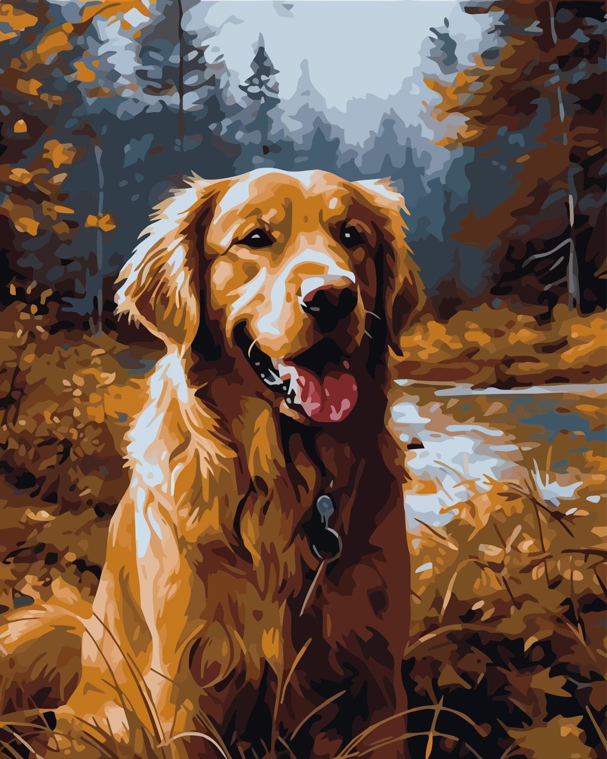 צביעה לפי מספרים - PBN0066