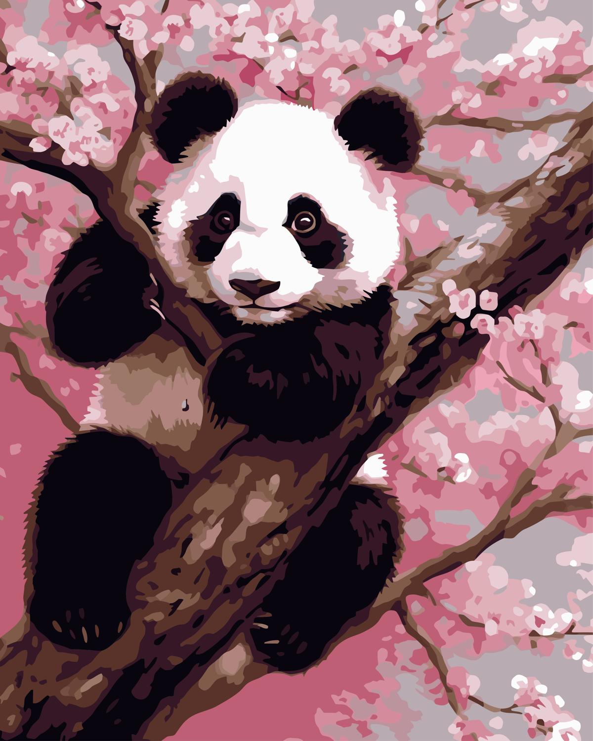 צביעה לפי מספרים - PBN0093