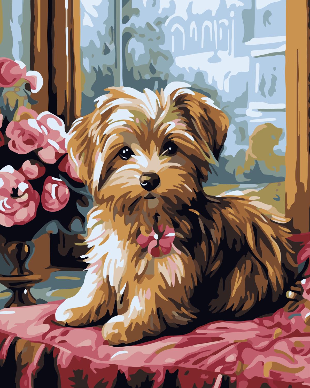 צביעה לפי מספרים - PBN0125