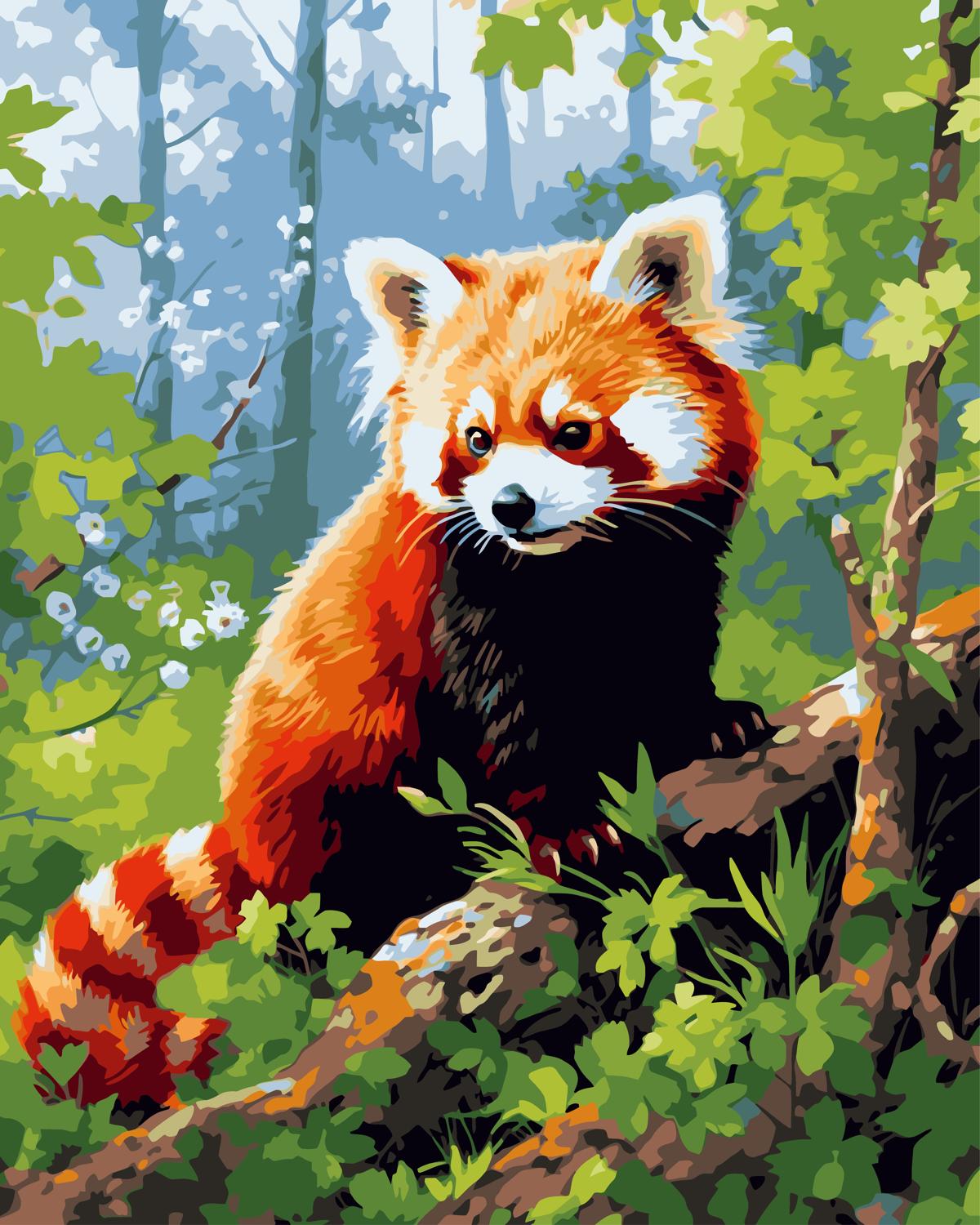 צביעה לפי מספרים - PBN0350