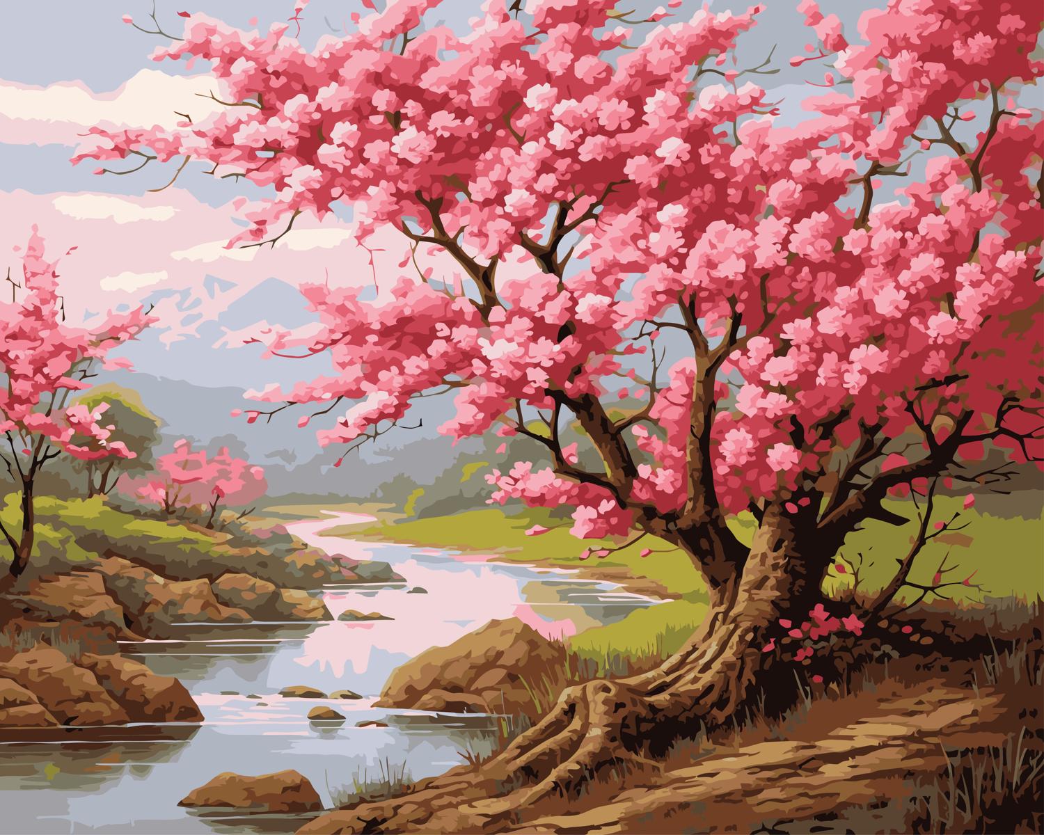 צביעה לפי מספרים - PBN0561