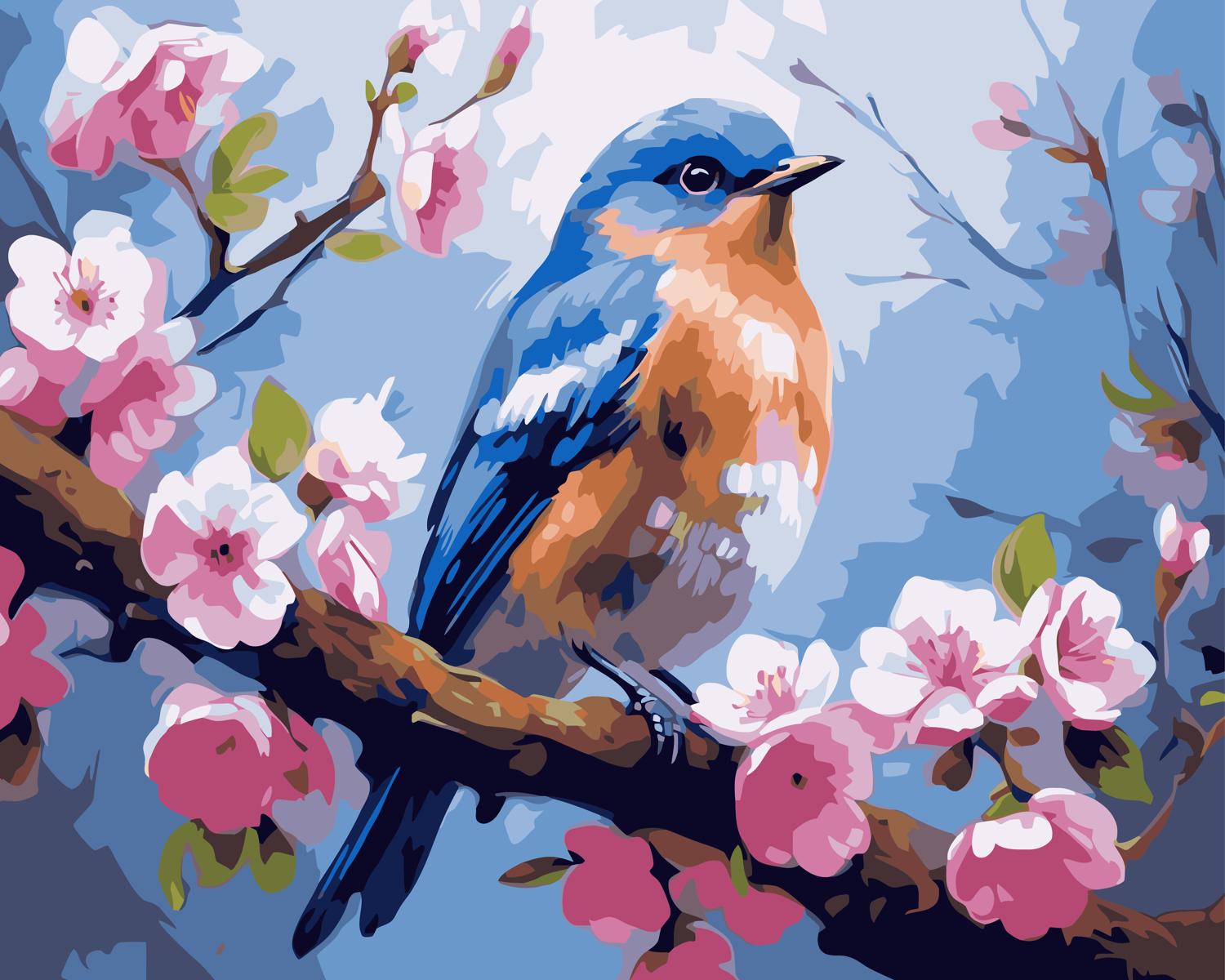 צביעה לפי מספרים - PBN0627