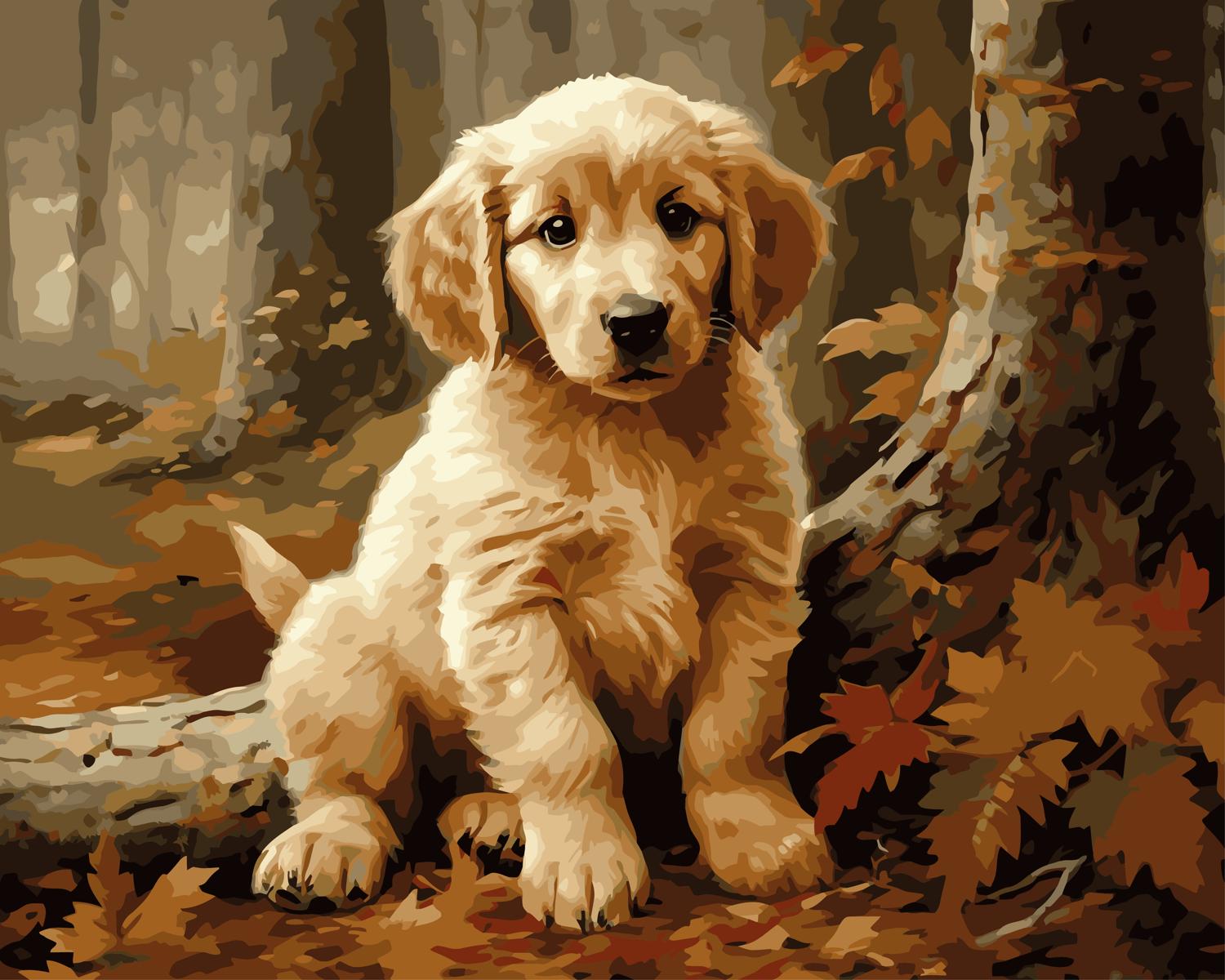 צביעה לפי מספרים - PBN0631