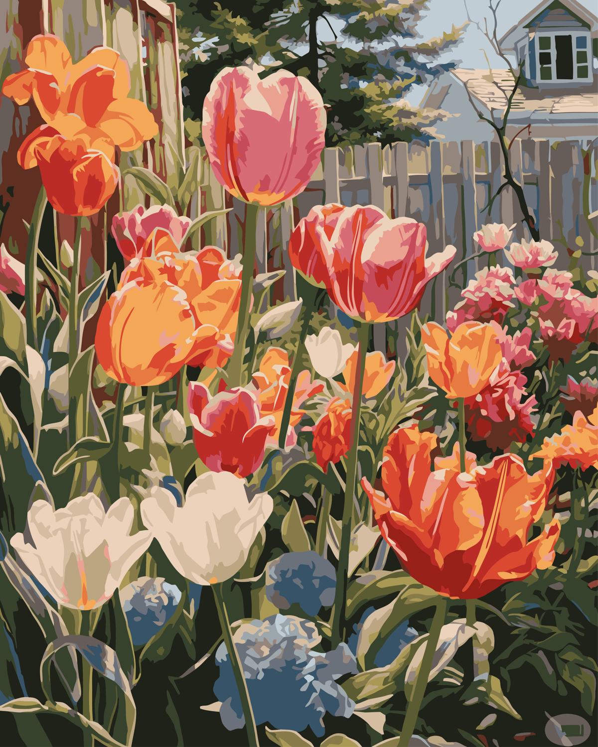 צביעה לפי מספרים - PBN0677