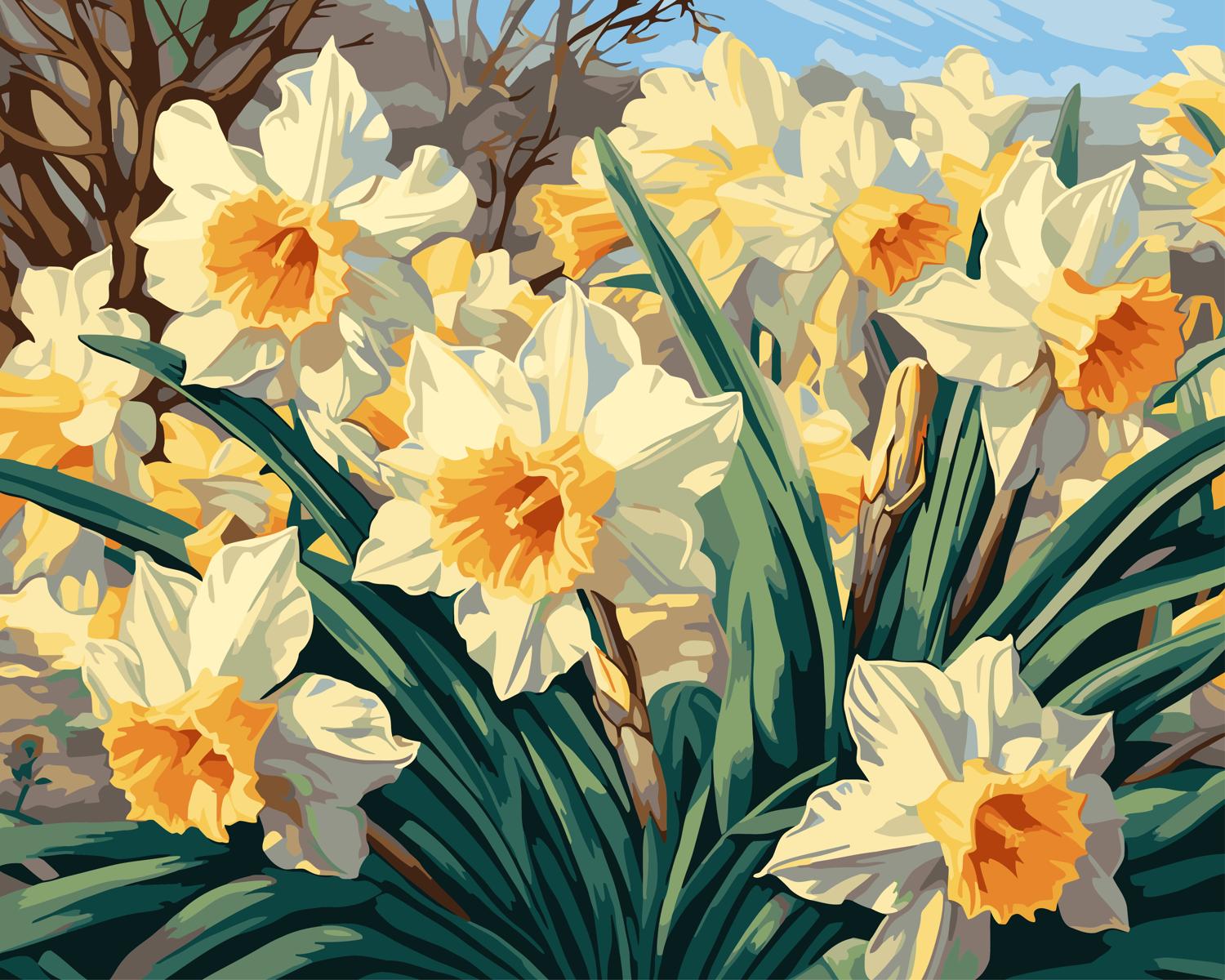 צביעה לפי מספרים - PBN0689