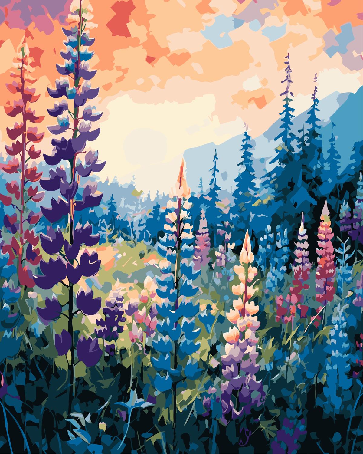 צביעה לפי מספרים - PBN0707