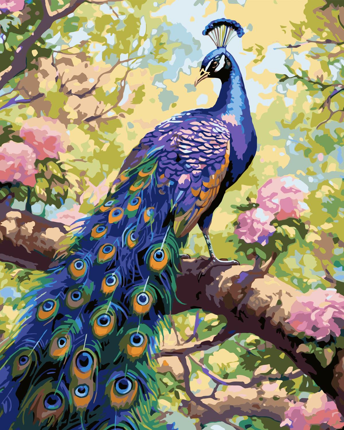 צביעה לפי מספרים - PBN0732