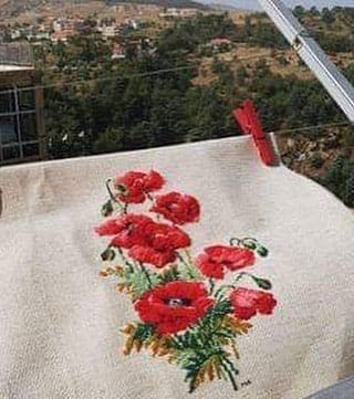 רקמה על בד גבינה - פרגי בר