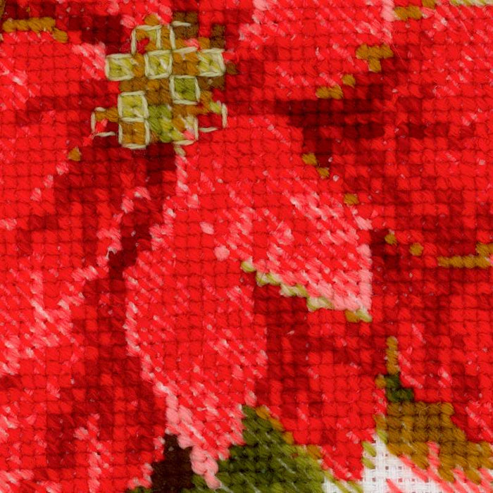 רקמה על בד גבינה - Poinsettia