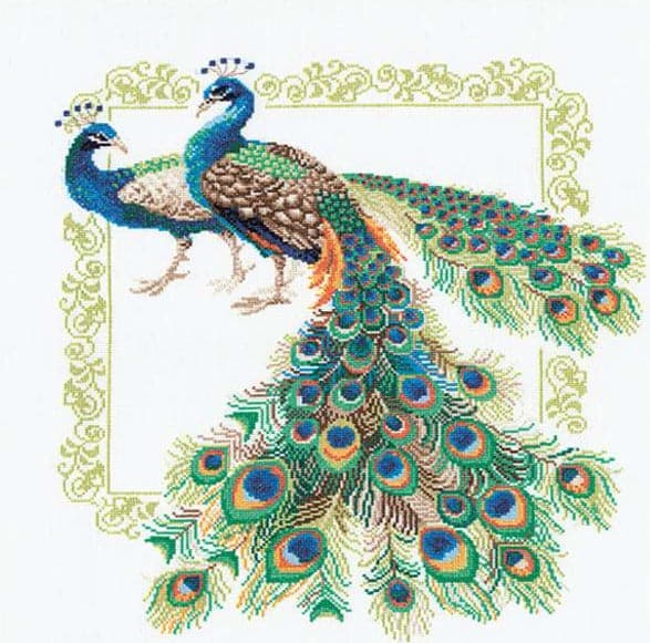 רקמה על בד גבינה - טווסים