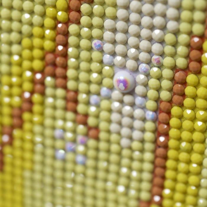 שיבוץ יהלומים - היפה