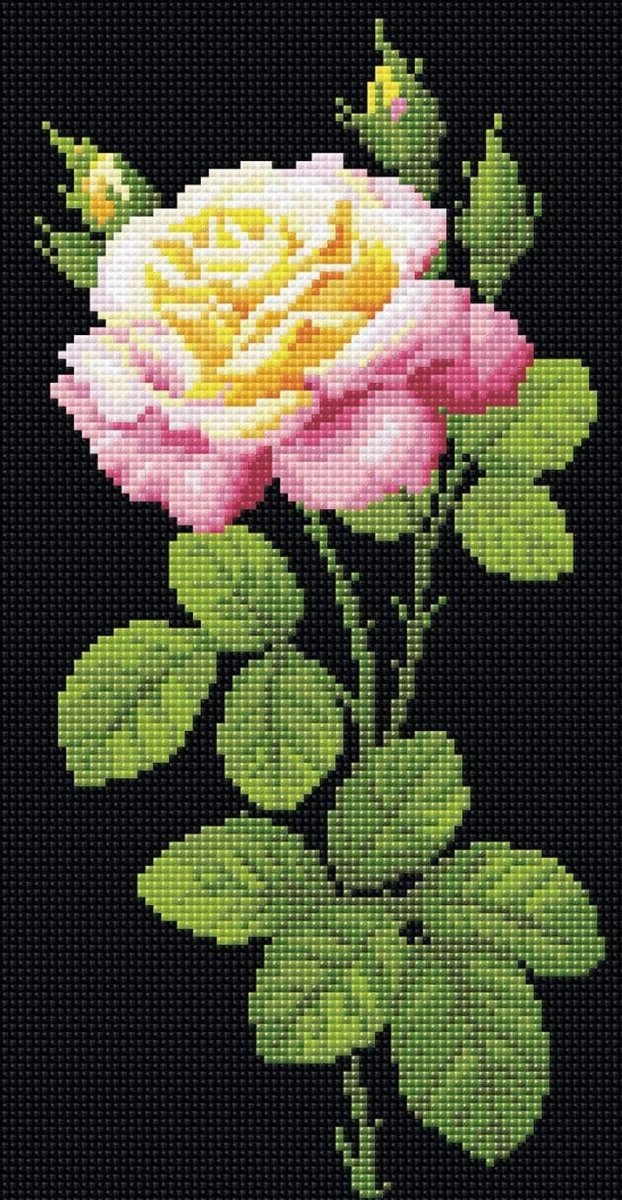 שיבוץ יהלומים - ורד נהדרת