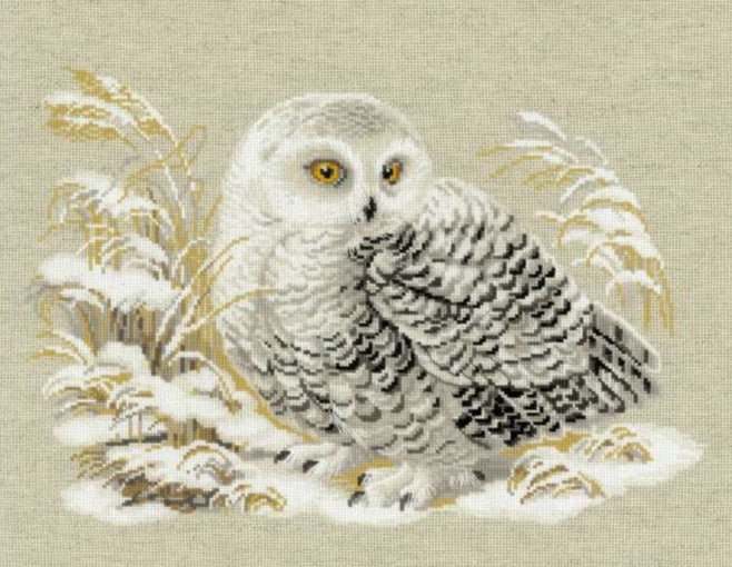 רקמה על בד גבינה - White Owl